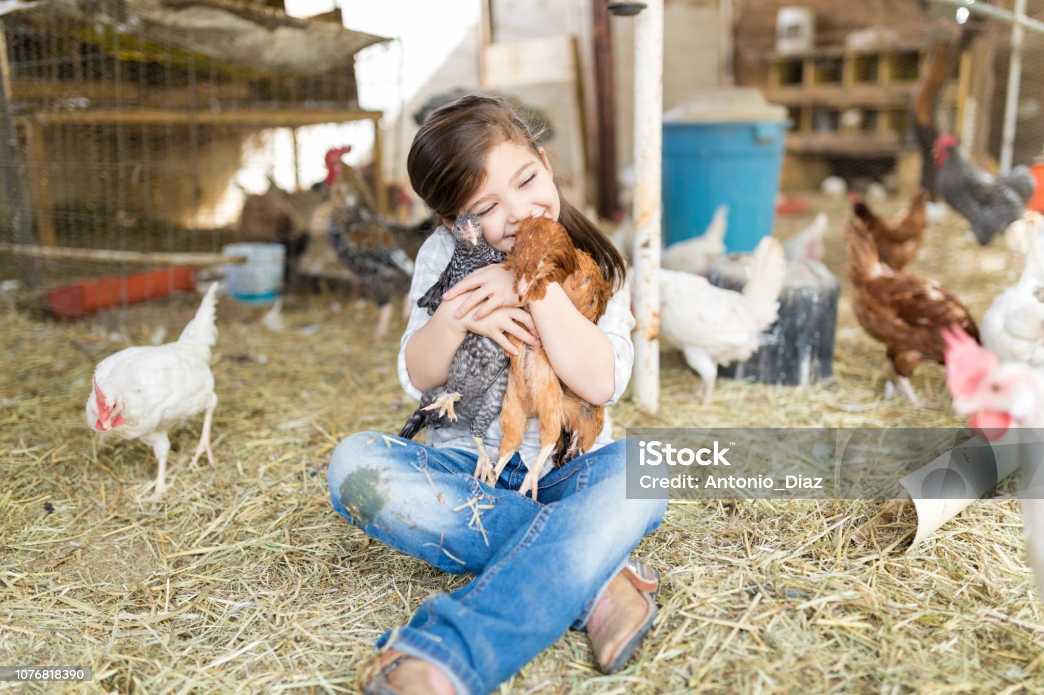 niña con gallinas